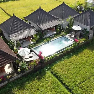 paraiso-cottage-ubud.ubudhotelsnow.com/